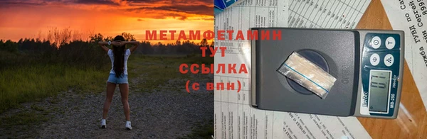 сатива Новокубанск