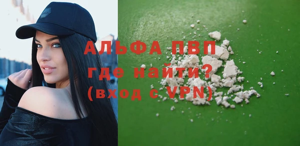 сатива Новокубанск