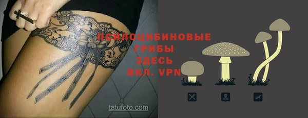 сатива Новокубанск
