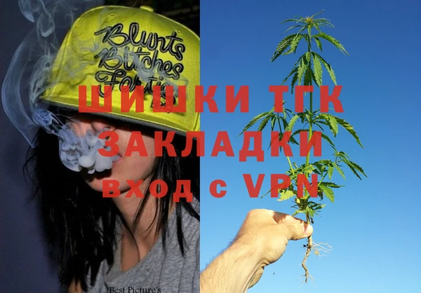 мет Новозыбков