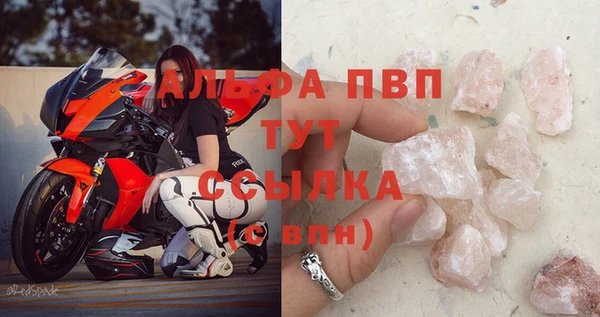 сатива Новокубанск