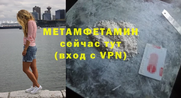 сатива Новокубанск