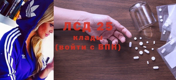 сатива Новокубанск