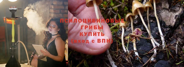 сатива Новокубанск