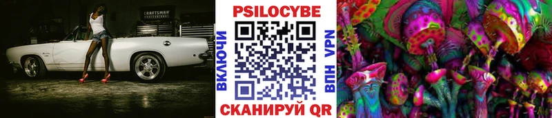 Псилоцибиновые грибы MAGIC MUSHROOMS  Купить  Хадыженск 